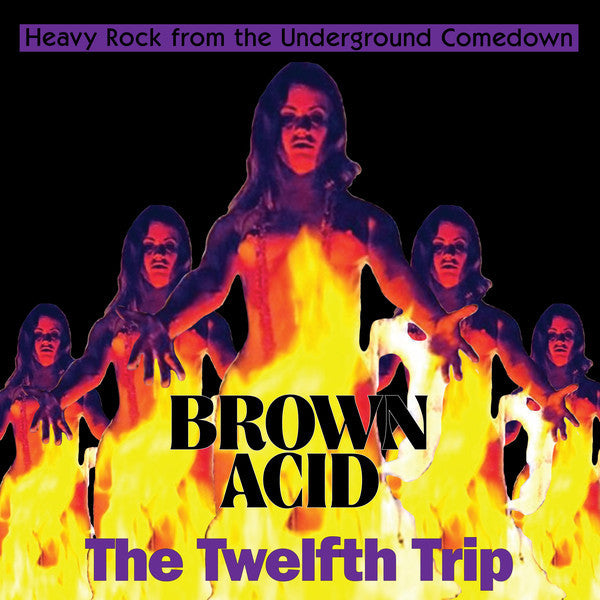 VARIOUS ARTISTS - BROWN ACID: THE TWELFTH TRIP