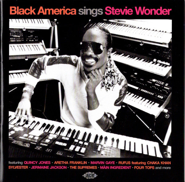 VARIOUS ARTISTS - BLACK AMERICA SINGS STEVIE WONDER