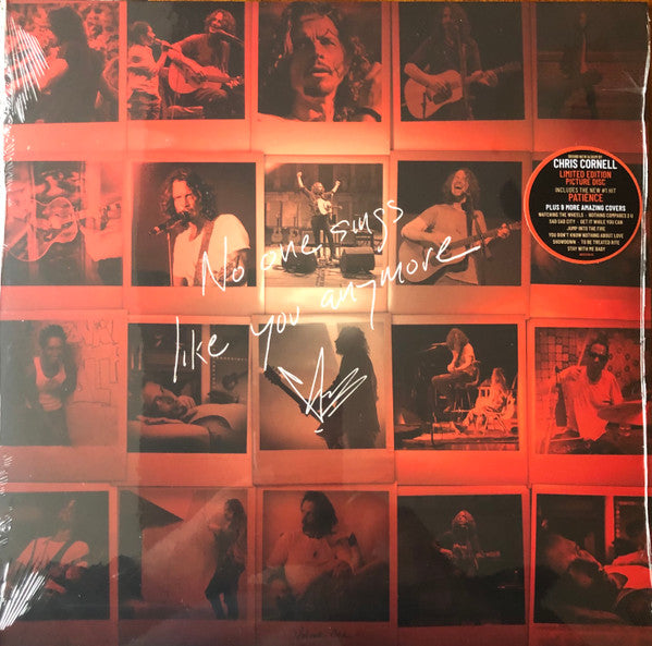 CORNELL,CHRIS - NO ONE SINGS LIKE YOU ANYMORE (PICTURE DISC)