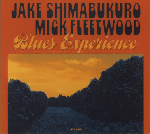 SHIMABUKURO,JAKE & MICK FLEETWOOD - BLUES EXPERIENCE