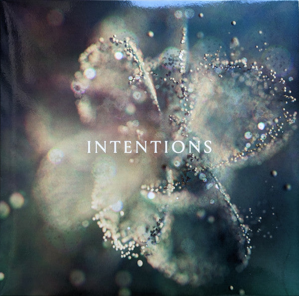ANNA - INTENTIONS (2LP)