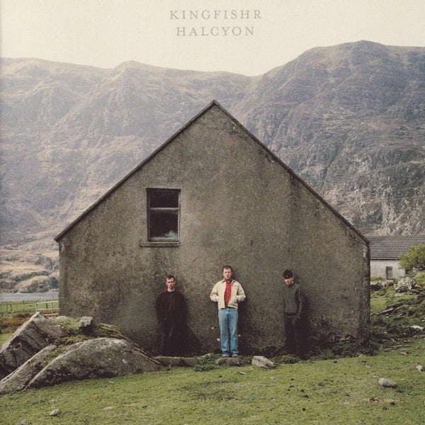KINGFISHR - HALCYON