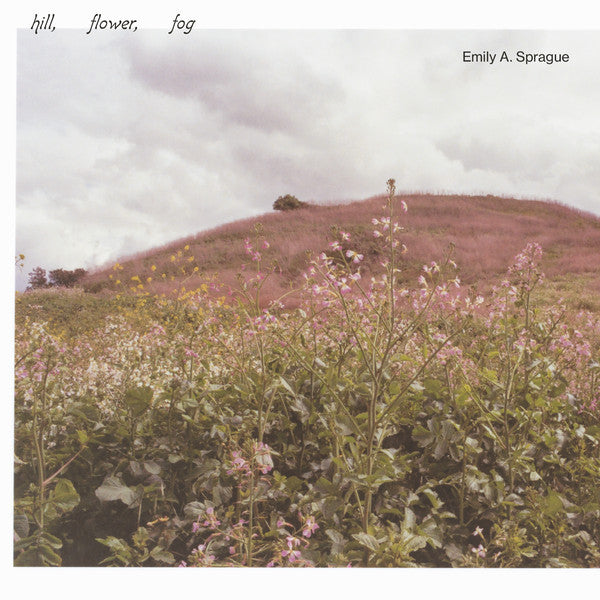 SPRAGUE,EMILY A. - HILL, FLOWER, FOG