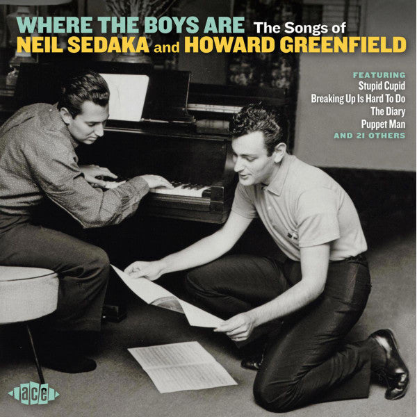 VARIOUS ARTISTS - WHERE THE BOYS ARE / VARIOUS