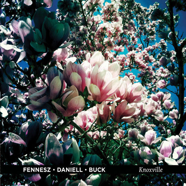 FENNESZ / DANIELL / BUCK - KNOXVILLE