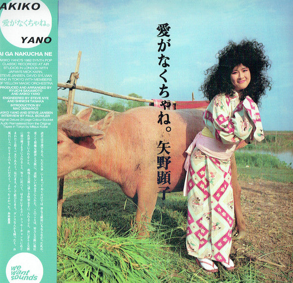 YANO AKIKO - AI GA NAKUCHA NE