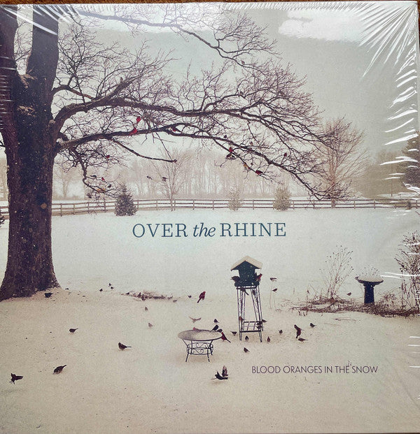 OVER THE RHINE - BLOOD ORANGES IN THE SNOW