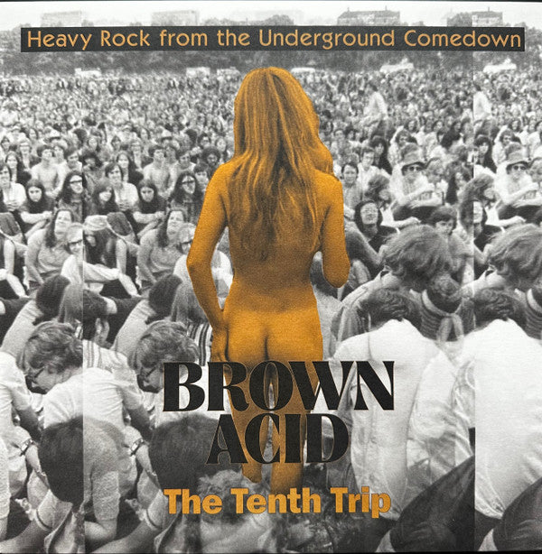 VARIOUS ARTISTS - BROWN ACID: THE TENTH TRIP