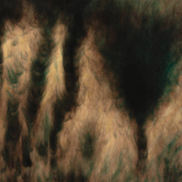 BASINSKI WILLIAM - LAMENTATIONS