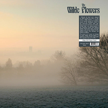 WILDE FLOWERS - WILDE FLOWERS (180G)