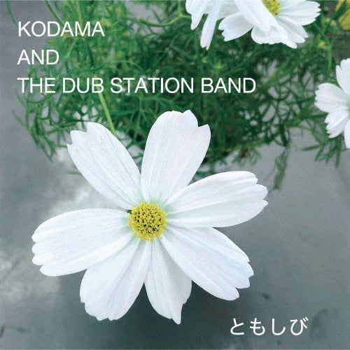 KODAMA & THE DUB STATION BAND - TOMOSHIBI