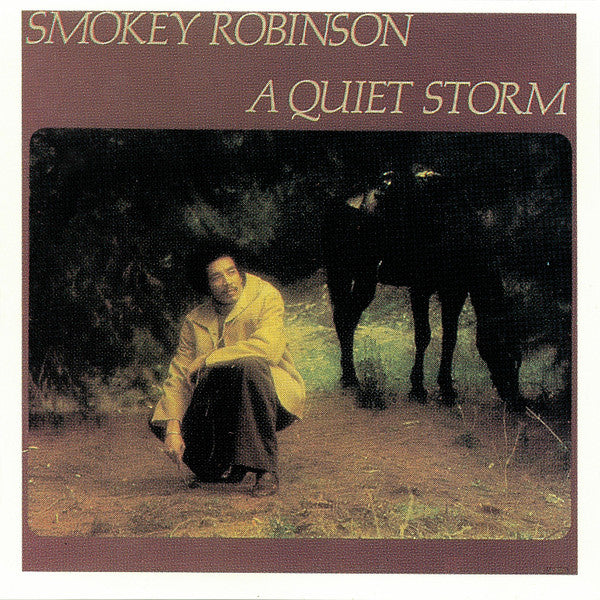 ROBINSON,SMOKEY - QUIET STORM