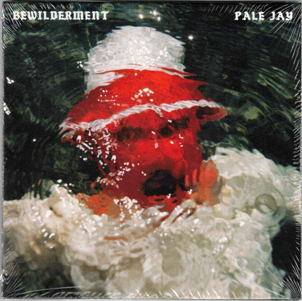 PALE JAY - BEWILDERMENT