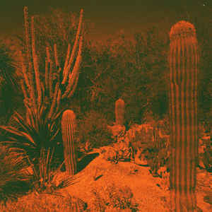 KNOWLER,CAMERON & ELI WINTER - ANTICIPATION