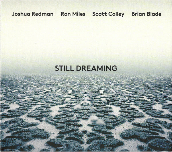 REDMAN JOSHUA - STILL DREAMING