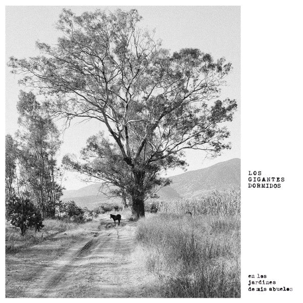 GIGANTES DORMIDOS - LOS JARDINES DE MIS ABUELOS