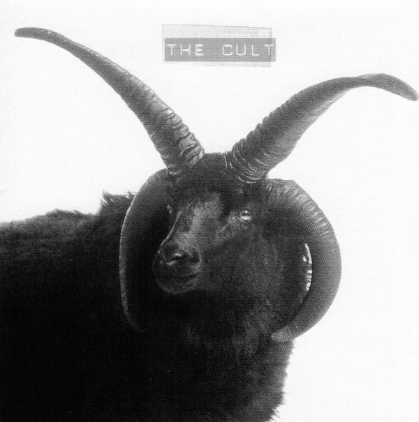CULT - CULT