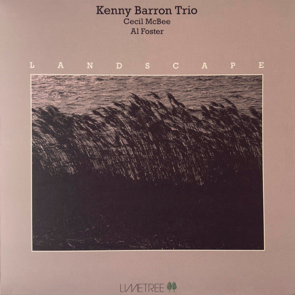 BARRON,KENNY TRIO - LANDSCAPE (180G)