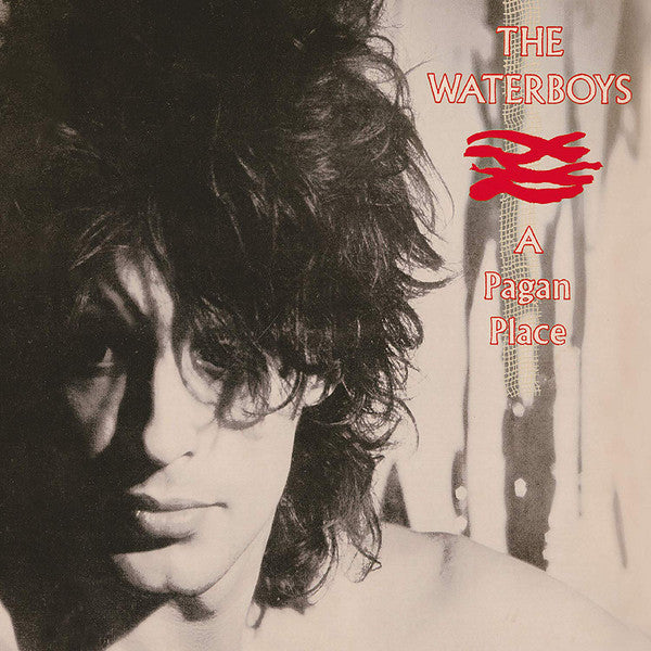 WATERBOYS - PAGAN PLACE