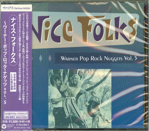 VARIOUS ARTISTS - POP ROCK NUGGETS VOL 5