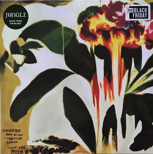 JUNGLE - GOOD TIMES / PROBLEMZ (RSD)