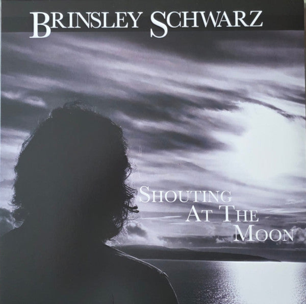 SCHWARZ BRINSLEY - SHOUTING AT THE MOON