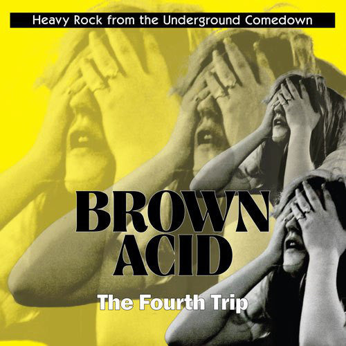 VARIOUS ARTISTS - BROWN ACID: THE FOURTH TRIP