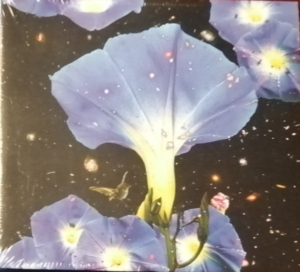 LOUISE,SARAH - NIGHTTIME BIRDS & MORNING STARS