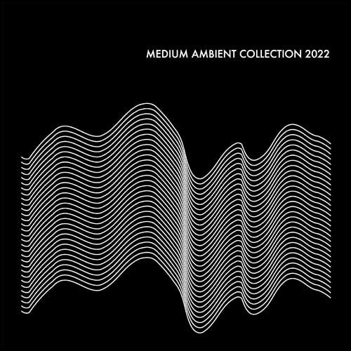 VARIOUS ARTISTS - MEDIUM AMBIENT COLLECTION 2022 (2LP)