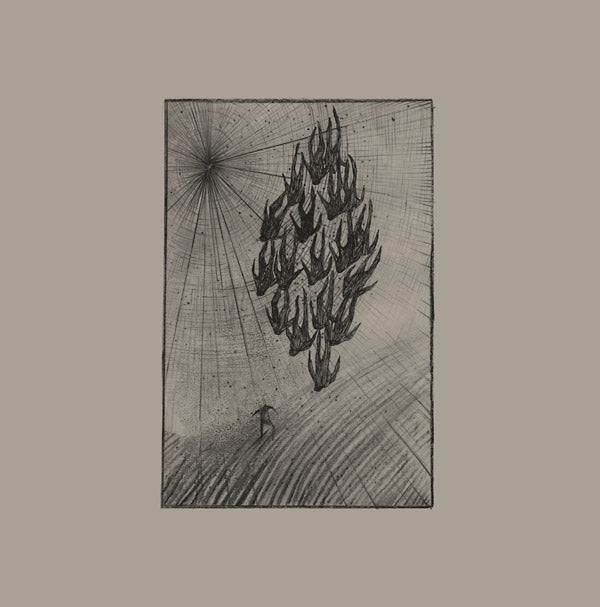 AINE O'DWYER Locusts