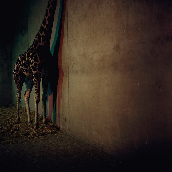 ALIEN ENSEMBLE Alien Ensemble 2