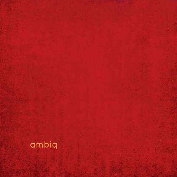 AMBIQ ambiq