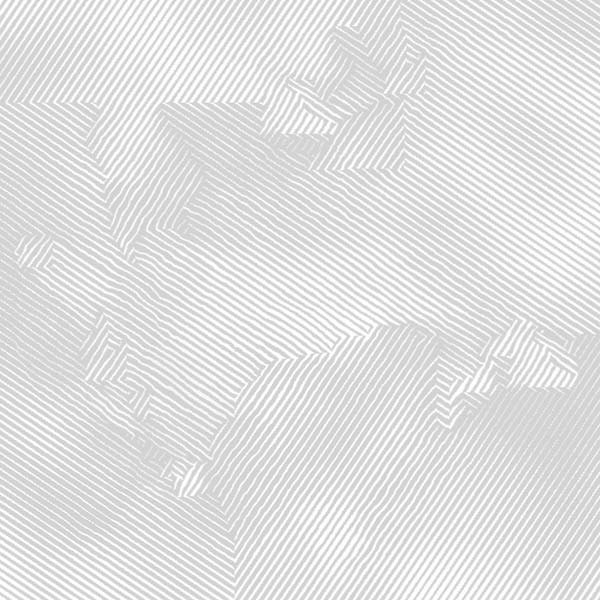 ARBRE DU TENERE La Pelle del Fantasma