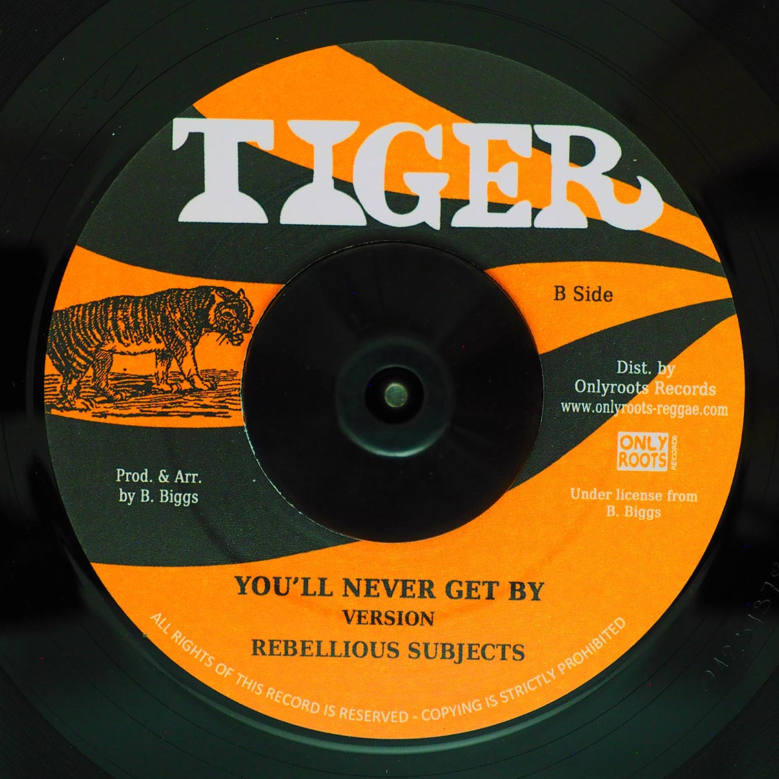 Barrington Biggs - You'll Never Get By / Rebellious Subjects - You'll Never Get By product cover