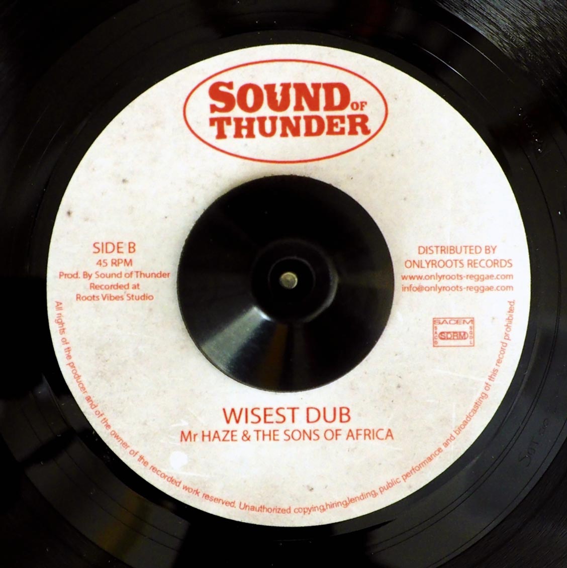 Delroy Williams & The Sons Of Africa - I See Wickedness / Mr. Haze & The Sons Of Africa - Wisest Dub product image 2