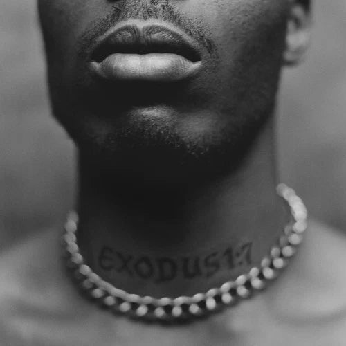 DMX - Exodus - Music & Performance - CD product cover