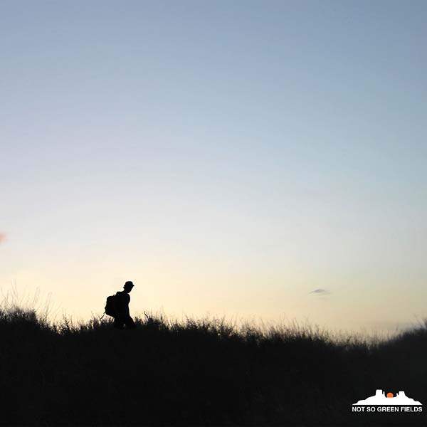 DUSTY KID Not So Green Fields