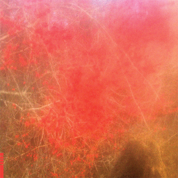 FOOM & FOAM Foom & Foam