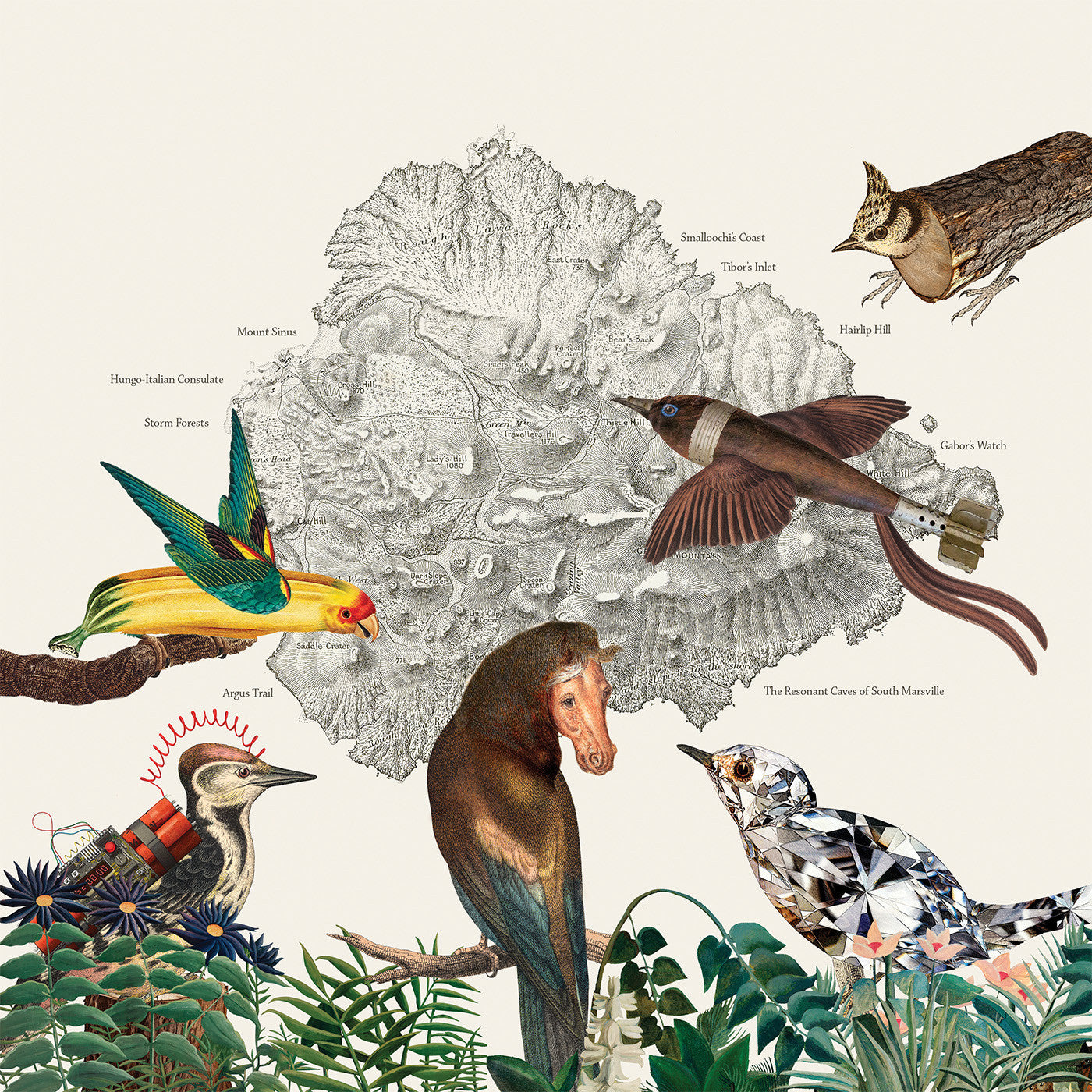 Friendly Rich The Birds Of Marsville