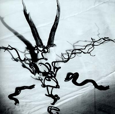 HEAD OF WANTASTIQUET Mortague