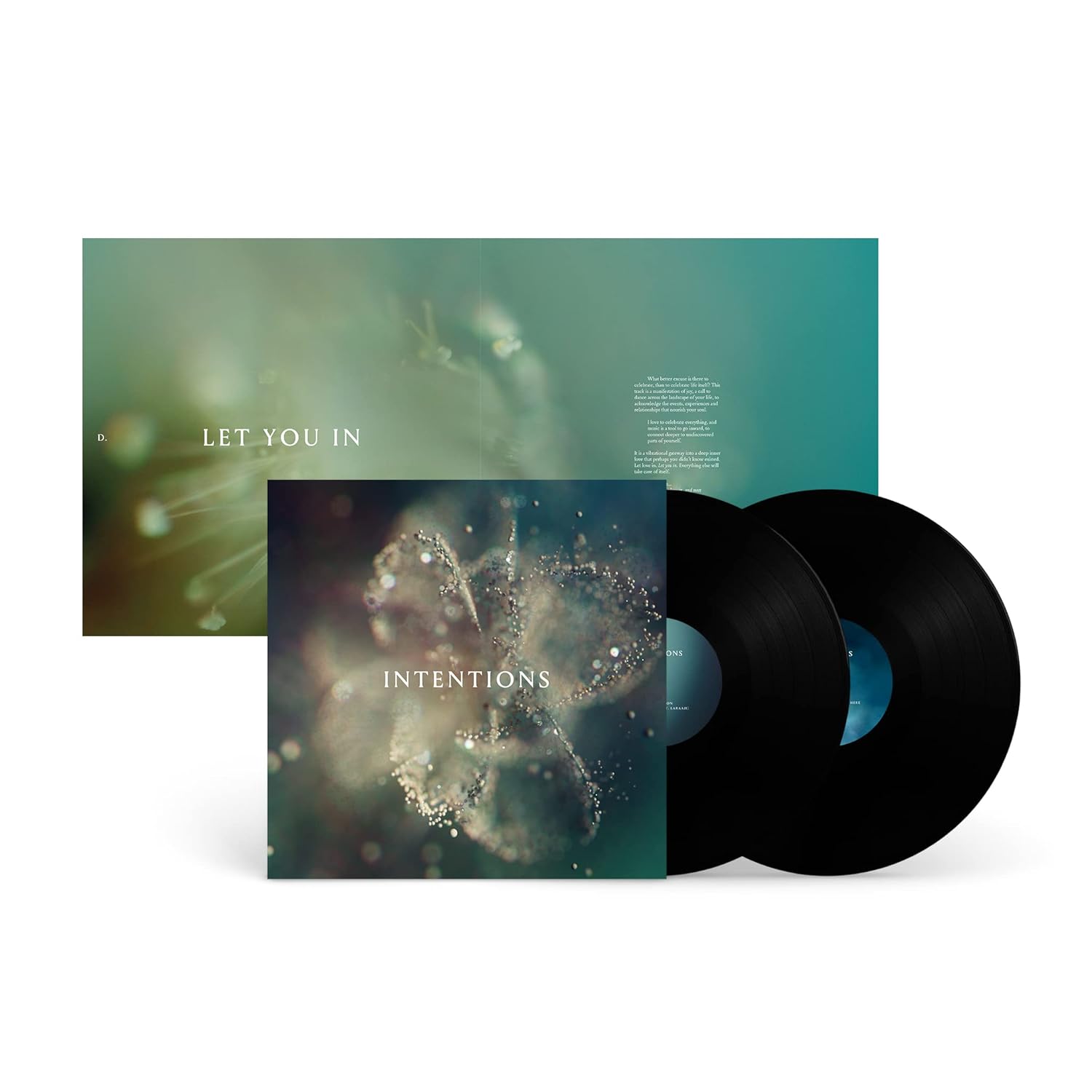 Intentions [2 LP] [Vinyl] product cover