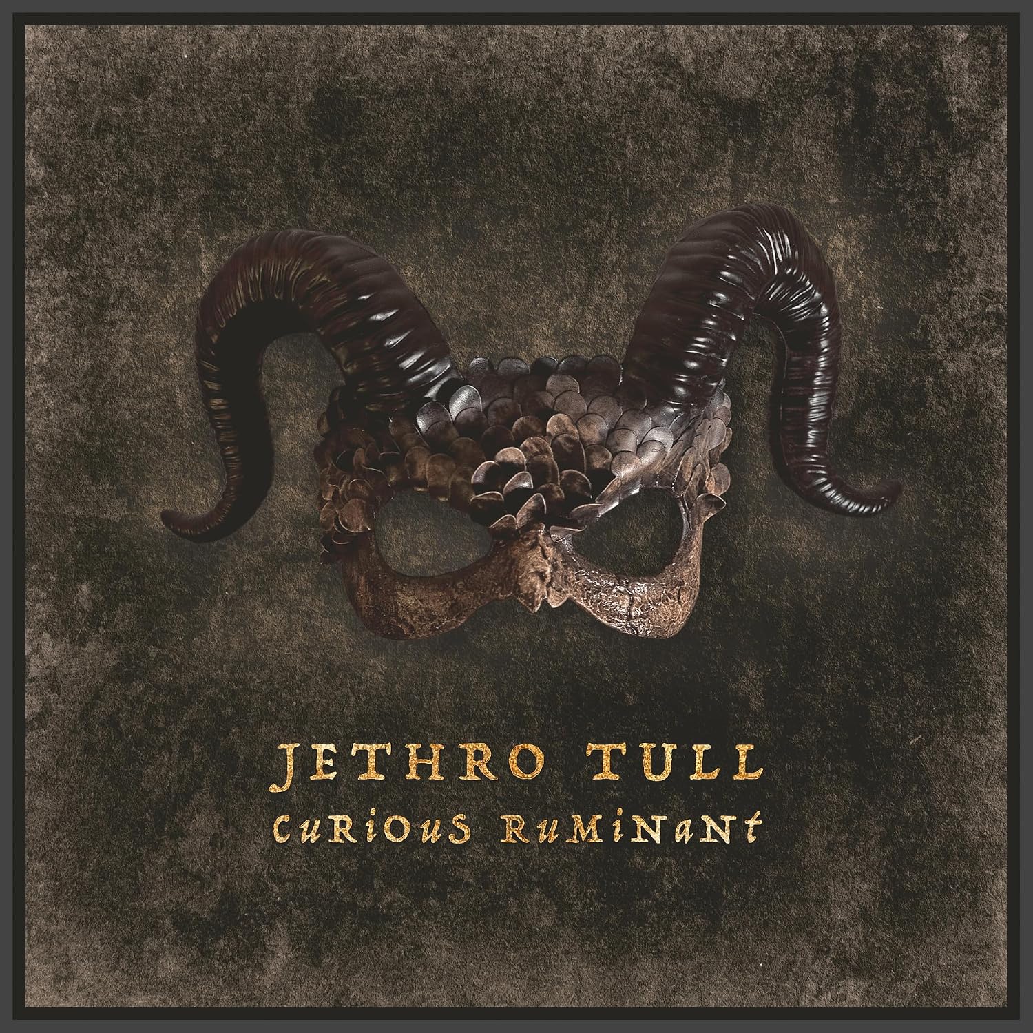 Jethro Tull - Curious Ruminant - Music & Performance - CD product cover