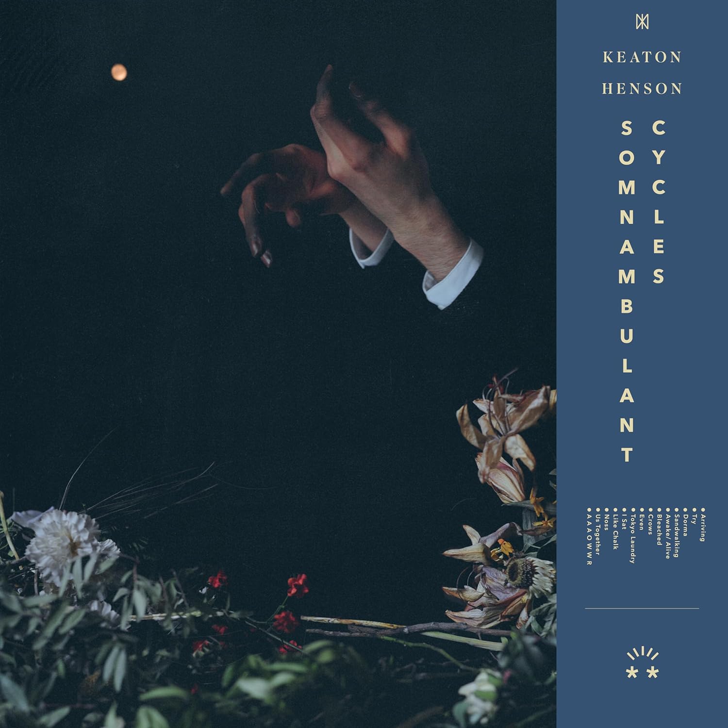 Keaton Henson - Somnambulant Cycles - Music & Performance - Vinyl product cover
