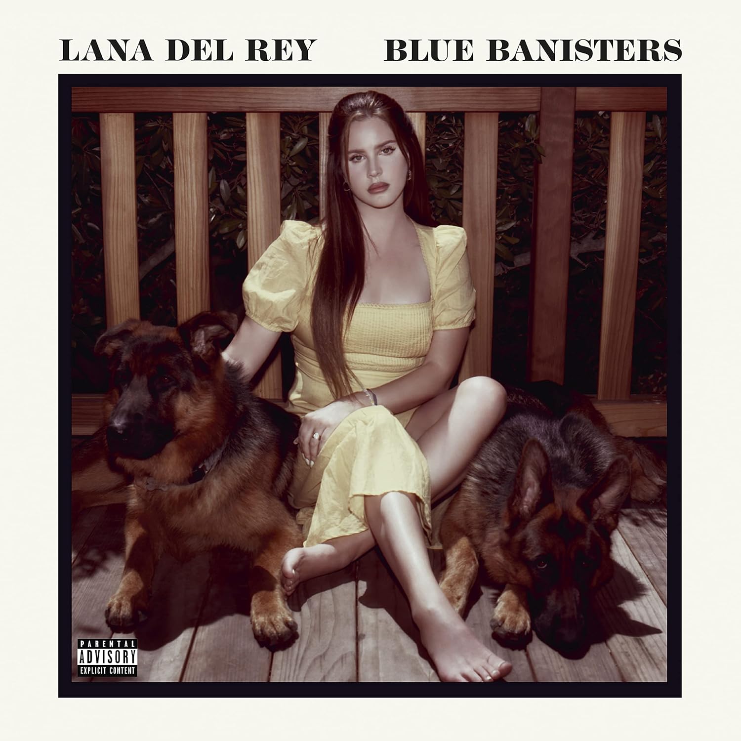 Lana Del Rey - Blue Banisters - Music & Performance - CD product cover
