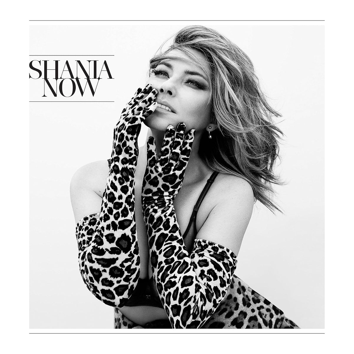 Now Shania Twain (CD) product cover