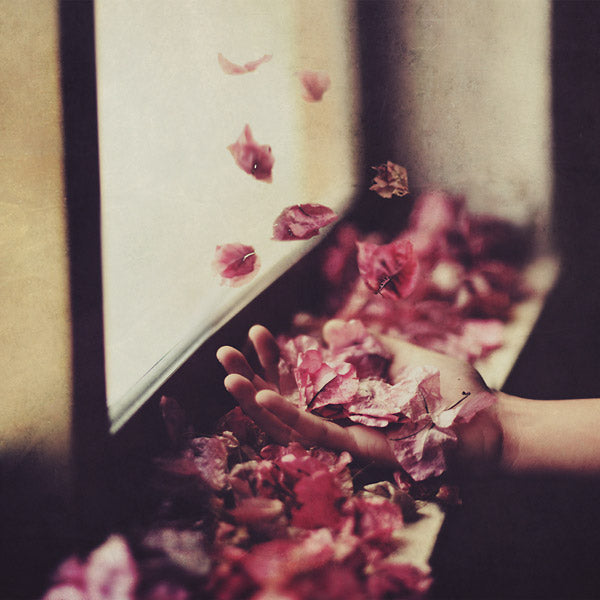 petre Inspirescu Vintul Prin Salcii