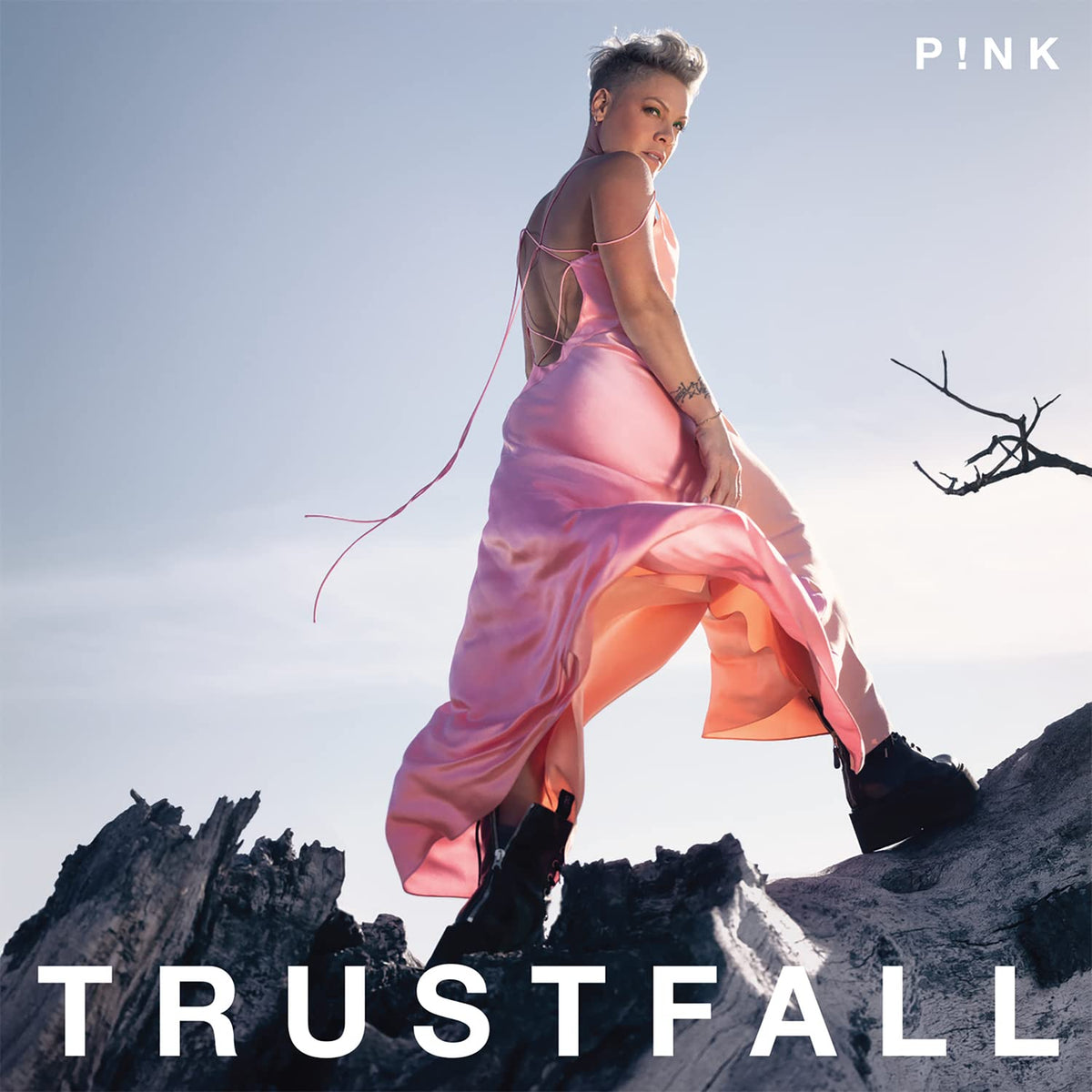Pink - Trustfall - Music & Performance - CD product cover