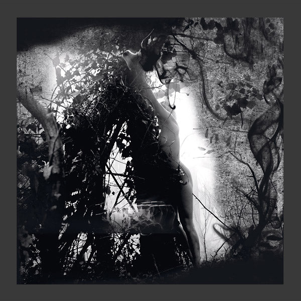 PISETZKY Tears Of A Rough Machine