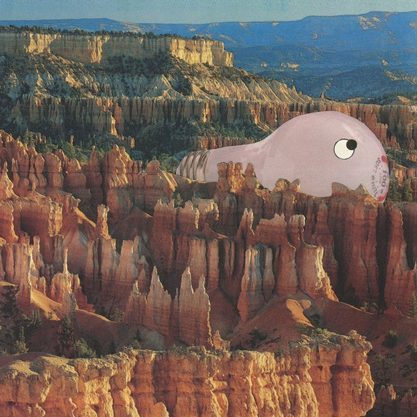 SANA SHENAI Warm Former