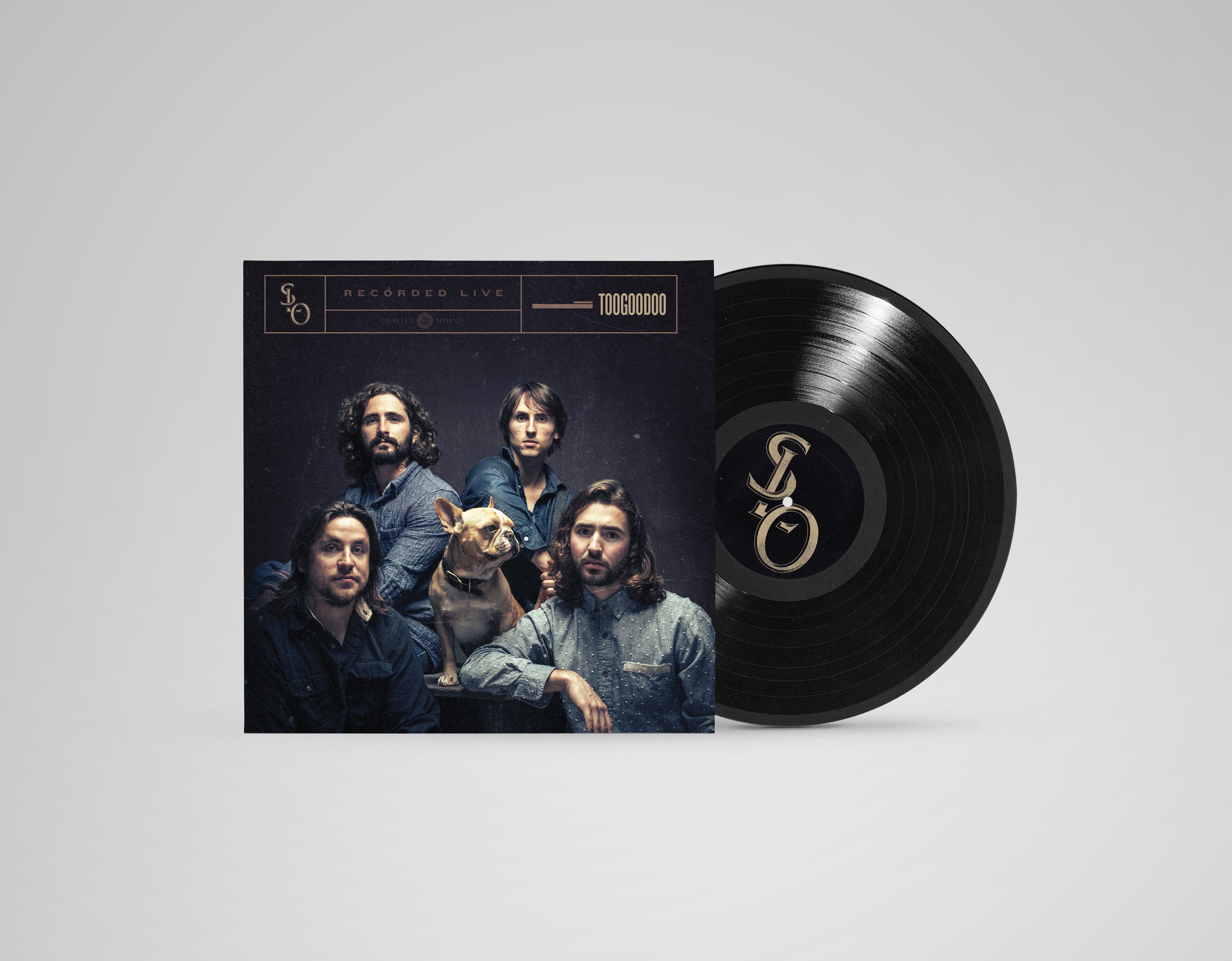 Stop Light Observations TOOGOODOO